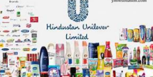 hindustan unilever limited - blue chip companies